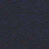 A03 Perennials Nachtblau